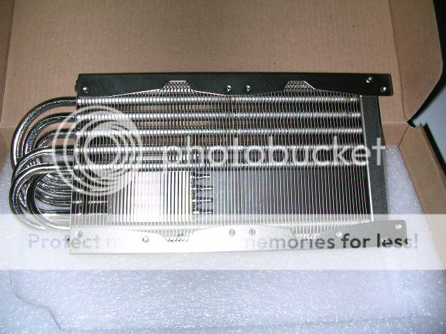 DSCN5414.jpg