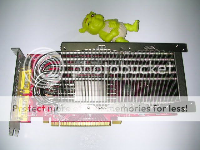 DSCN5416.jpg
