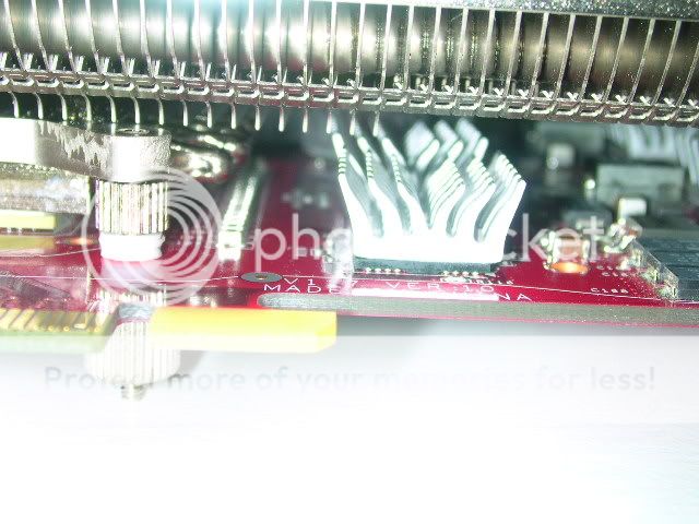 DSCN5417.jpg