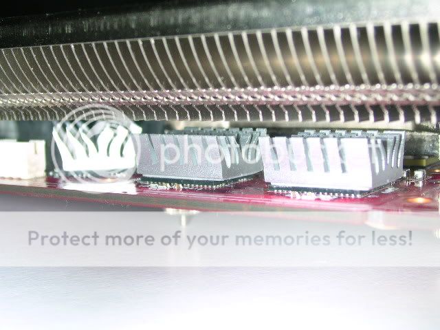 DSCN5418.jpg