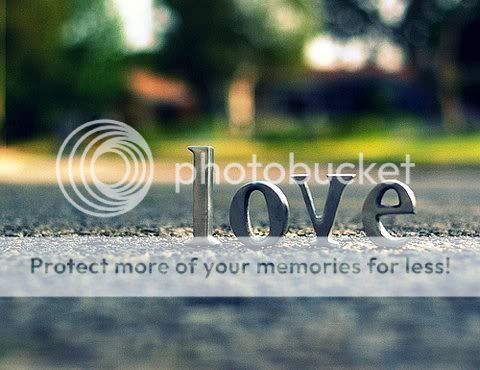 photography Pictures, Images and Photos