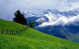 Nature 11