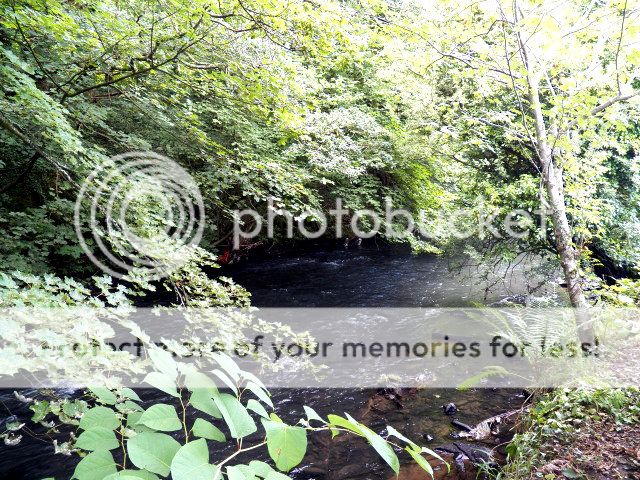 100_0512photoshop