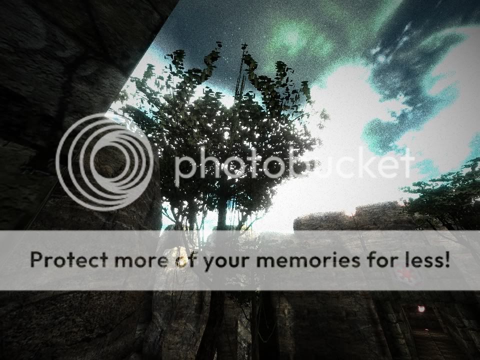 shot0003-5.jpg