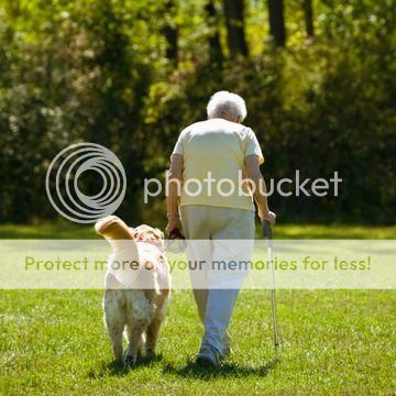 Dementia elder walking a dog