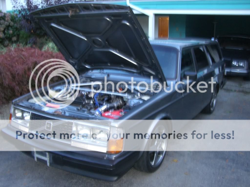 CIMG3075.jpg
