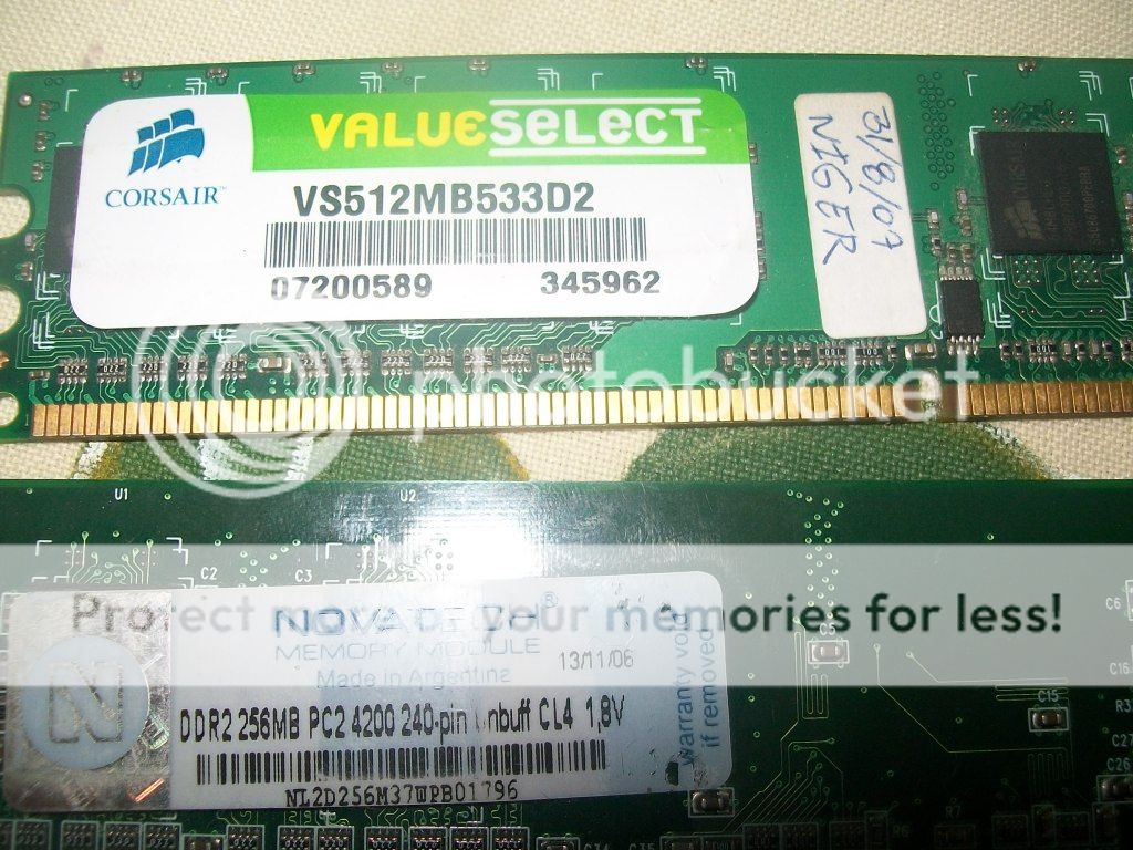 http://i499.photobucket.com/albums/rr360/shagrathl2/115_6342_zpscbed7cb8.jpg