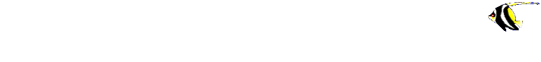 1anglebanner.gif
