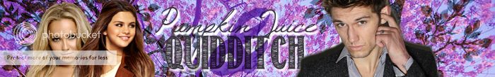 Pumpkin Juice and Quidditch banner